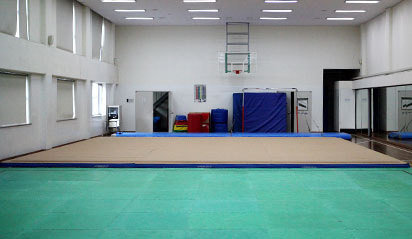 Gymnastics Stadium